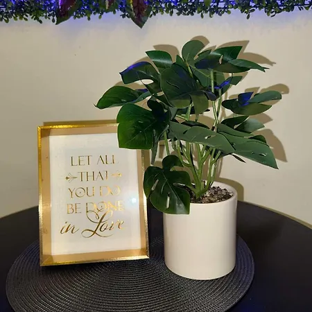 Apartment Studioaptfranky