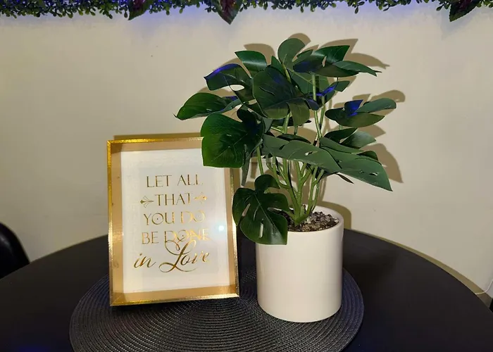 Apartament Studioaptfranky